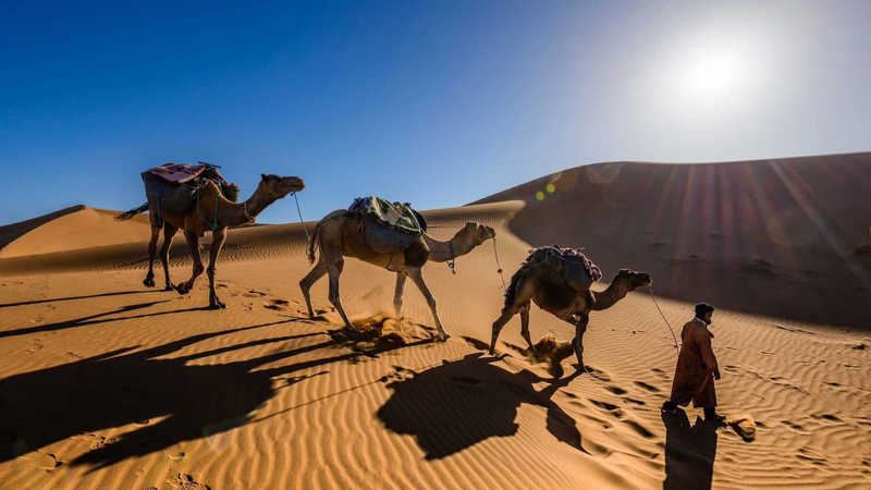 Trek to the Sahara Header