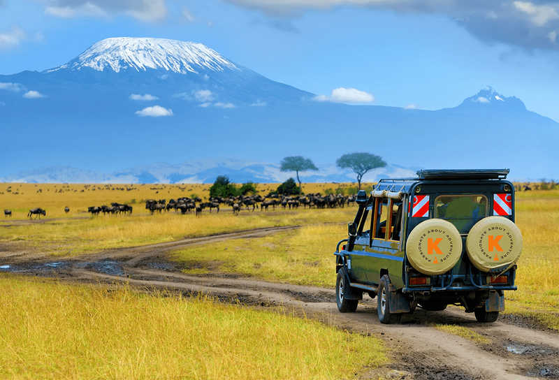 kandoo-safari