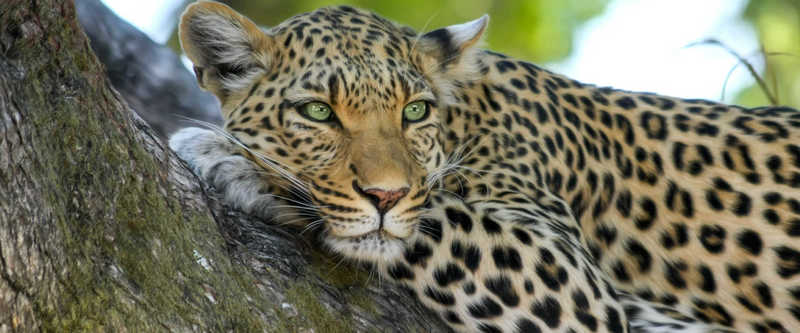 Ultimate Tanzania, Serengeti National Park